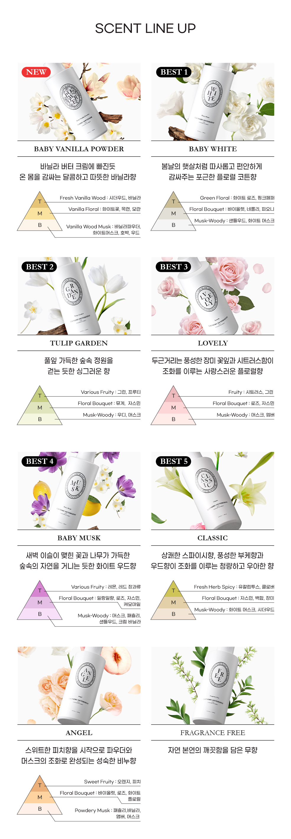 250429_베르블랑 피라미드 배너.jpg