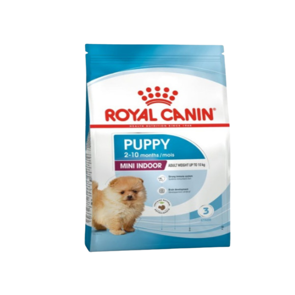 미니 인도어 퍼피 1개 대표.jpg