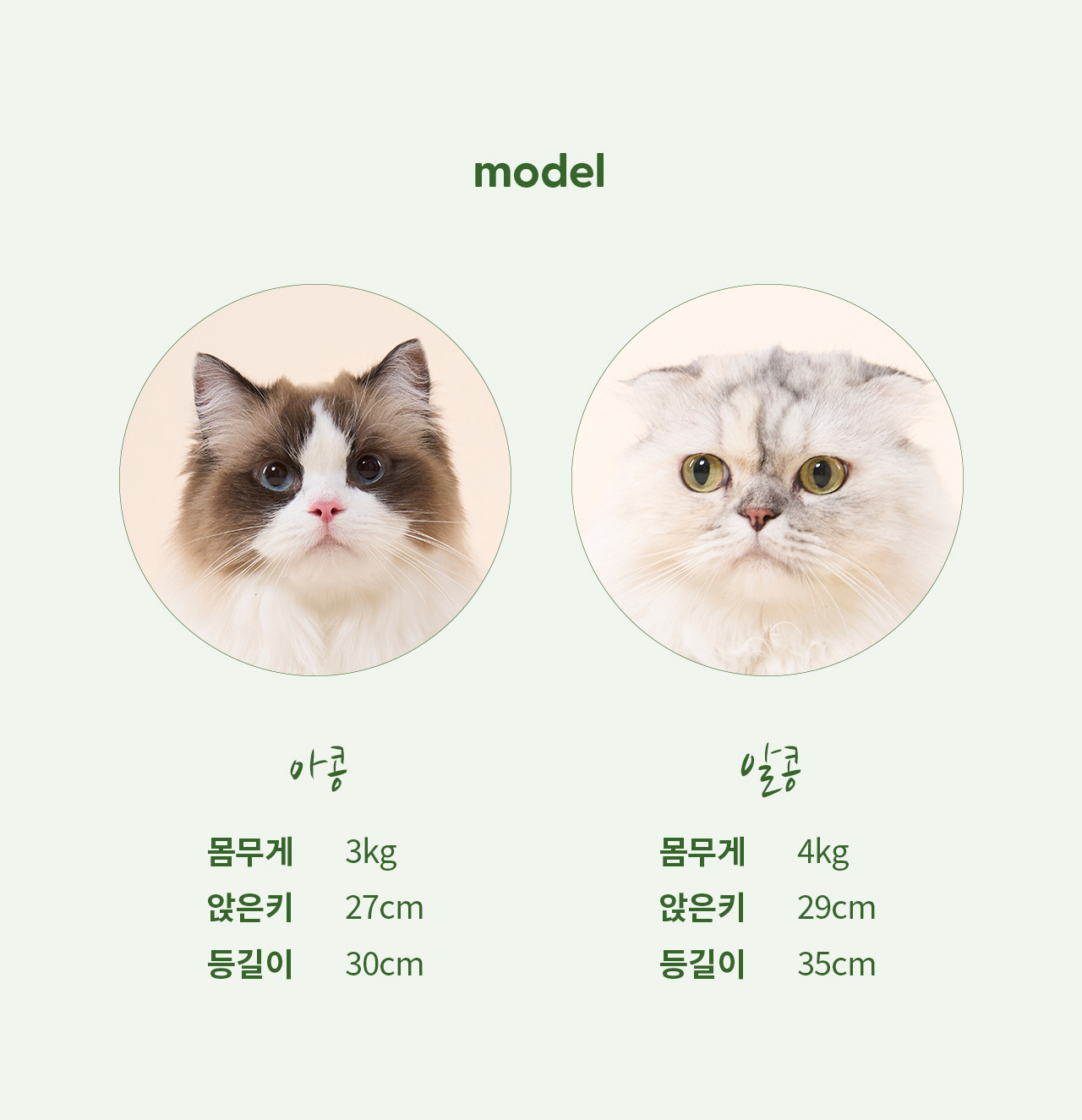 두잇_딜라이트박스_상세페이지_V2_231208_02_07.jpg