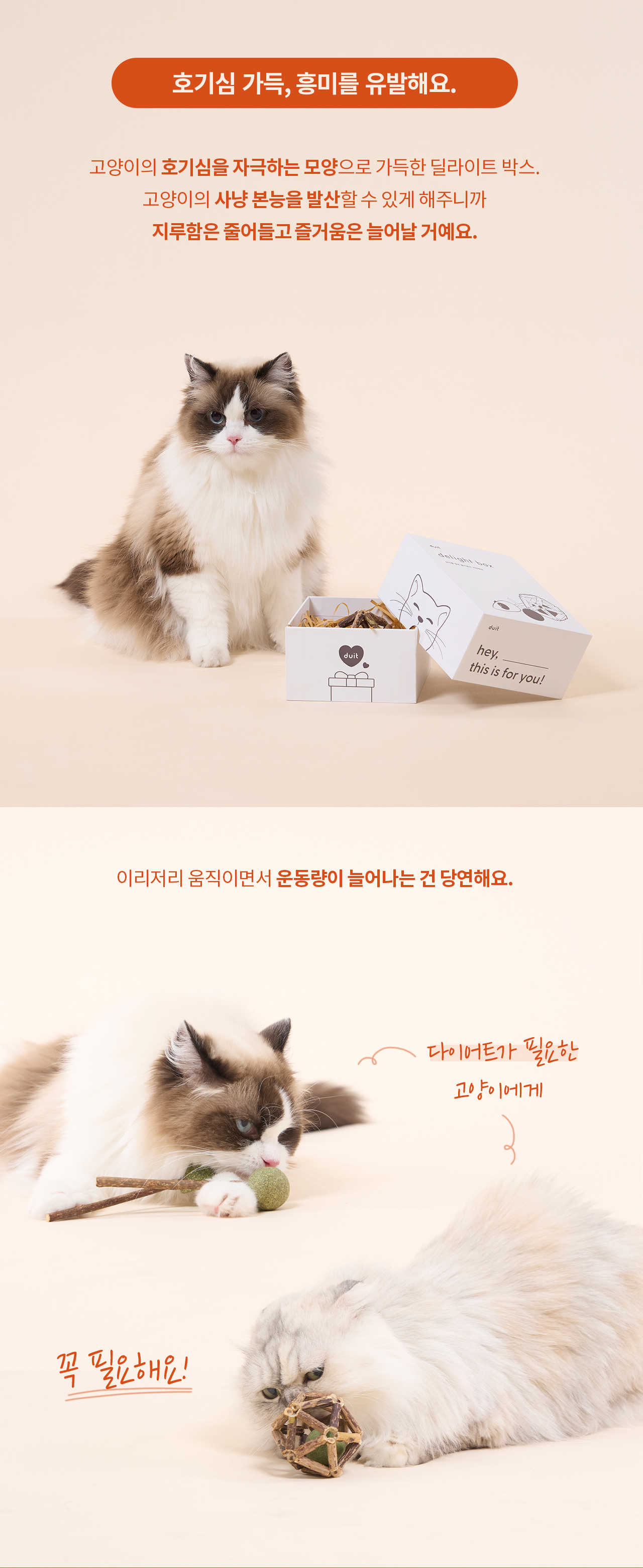 두잇_딜라이트박스_상세페이지_V2_231208_01_07.jpg