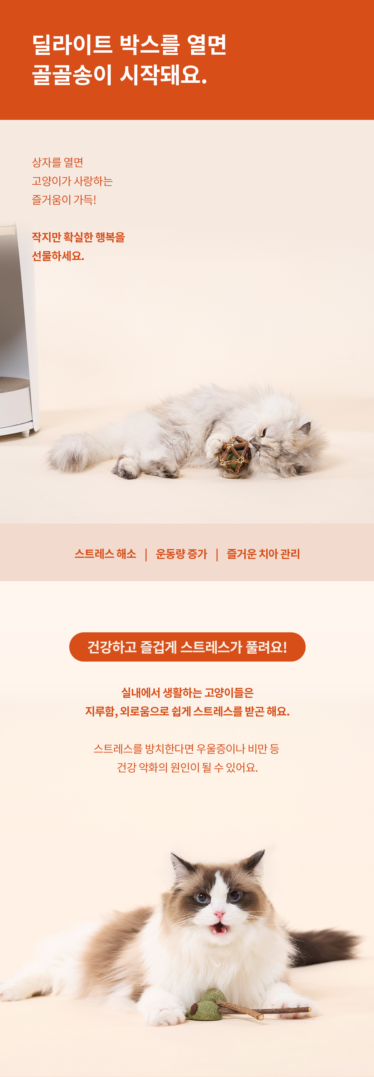 두잇_딜라이트박스_상세페이지_V2_231208_01_04.jpg