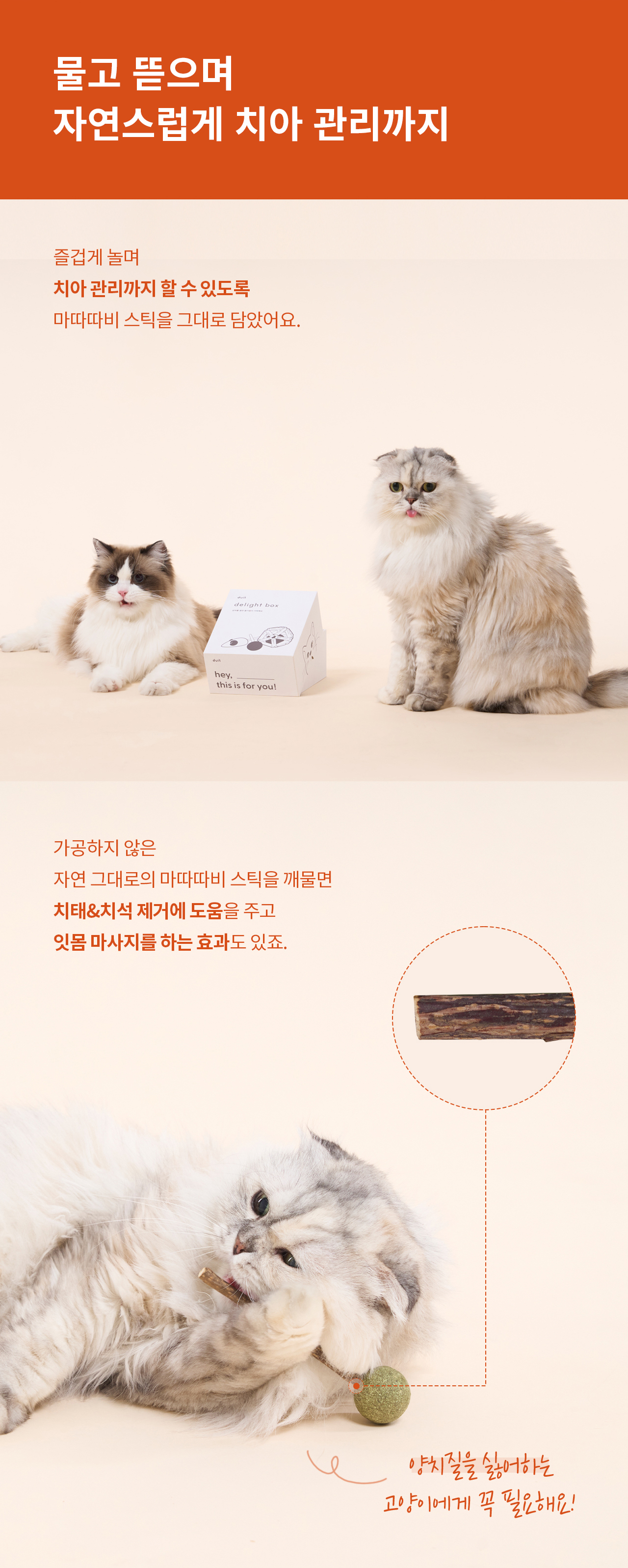 두잇_딜라이트박스_상세페이지_V2_231208_02_01.jpg