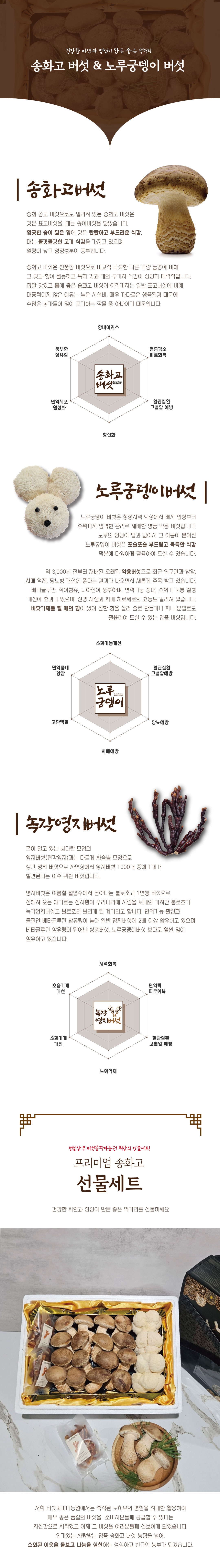 현대2.jpg