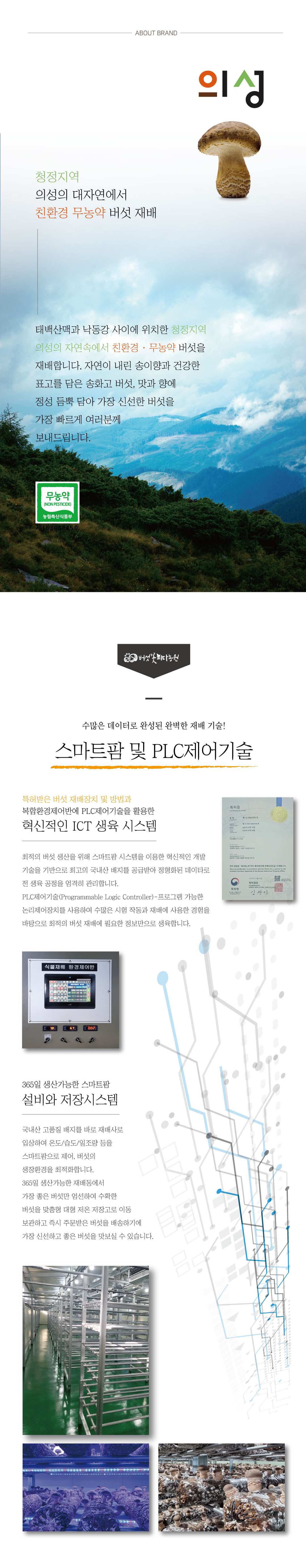 현대5.jpg
