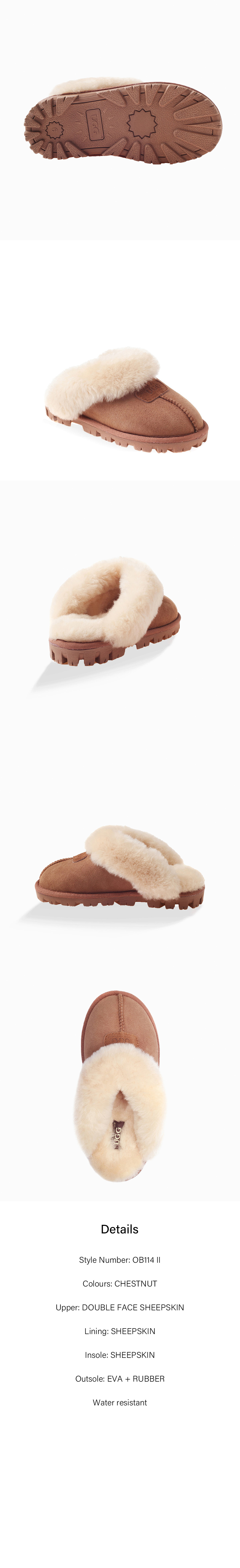 OB114 II-Chestnut-B1.jpg