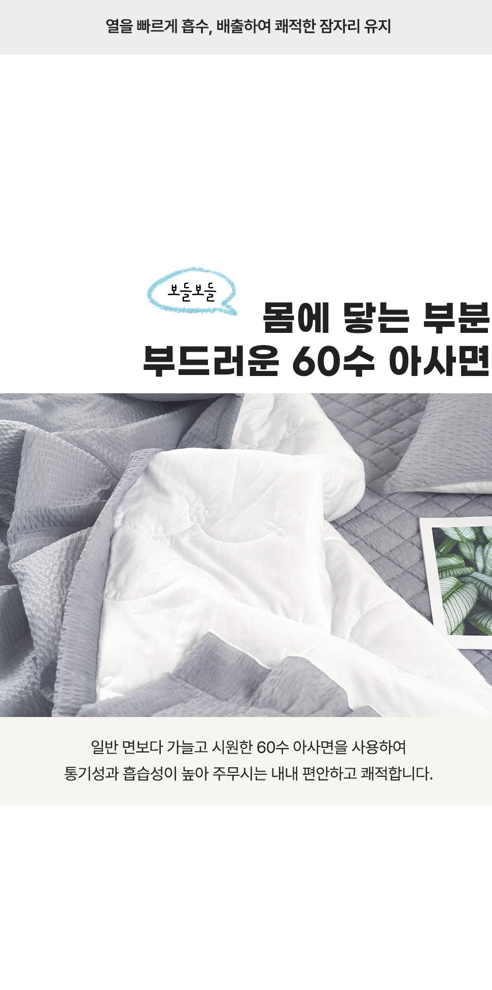 글로리뱀부시어서커 (3).jpg