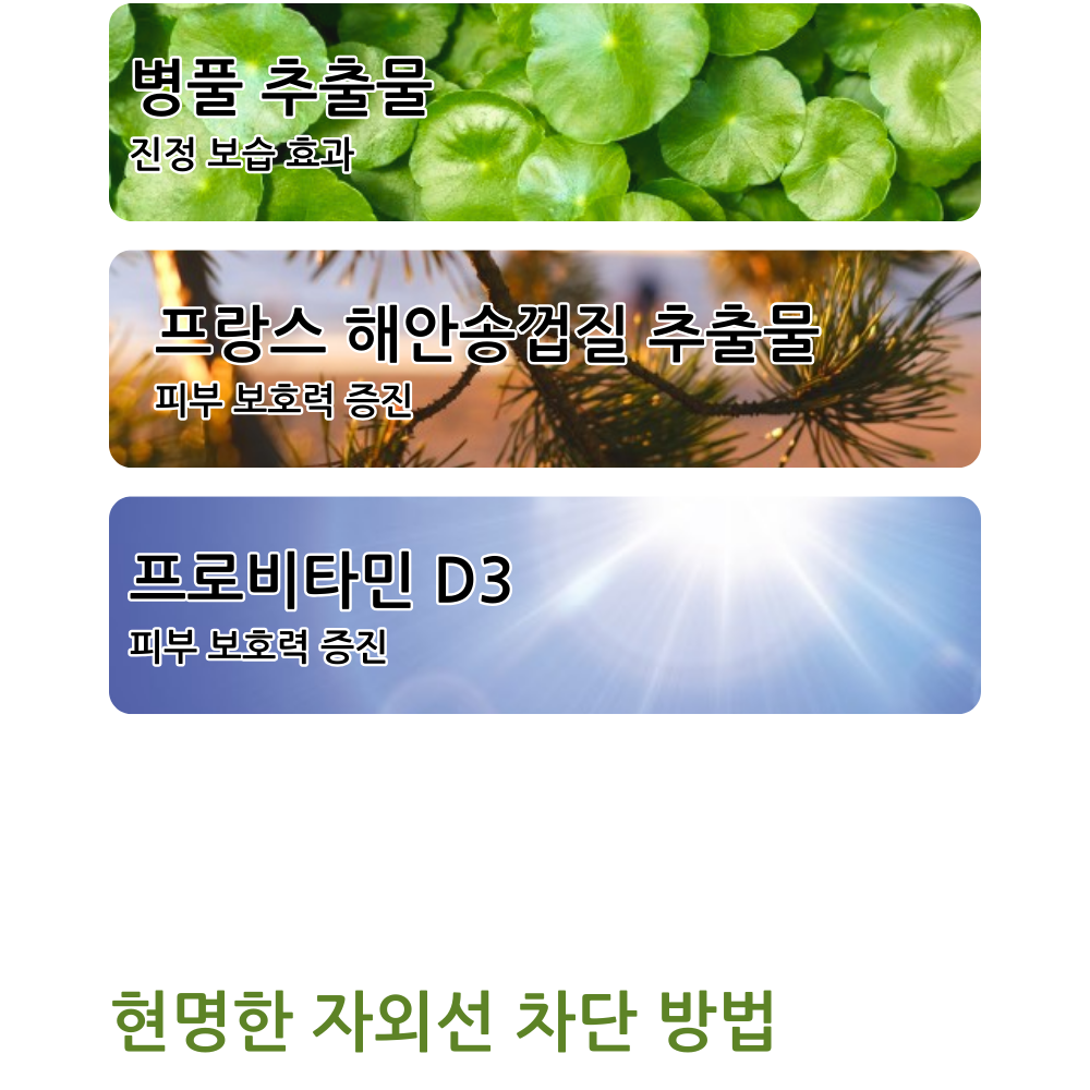 11.png