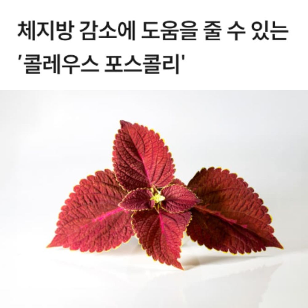 컷 (3).jpg