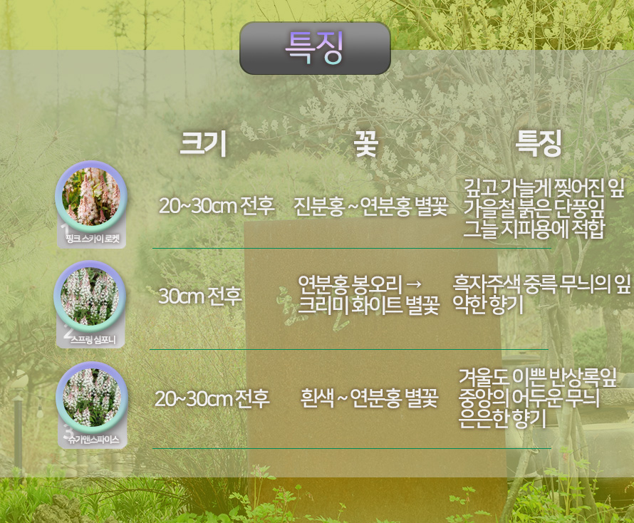 티알레라_모음_46OCNODC_detail_options_list.jpg