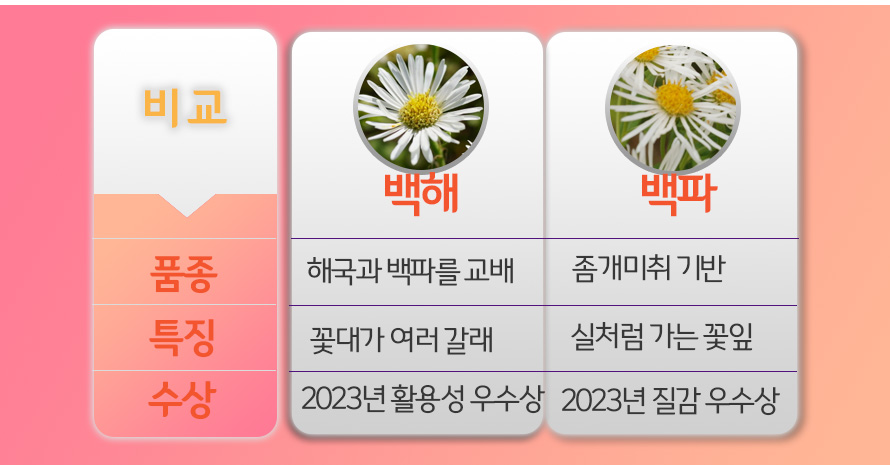 국야모음_45ST_detail3.jpg