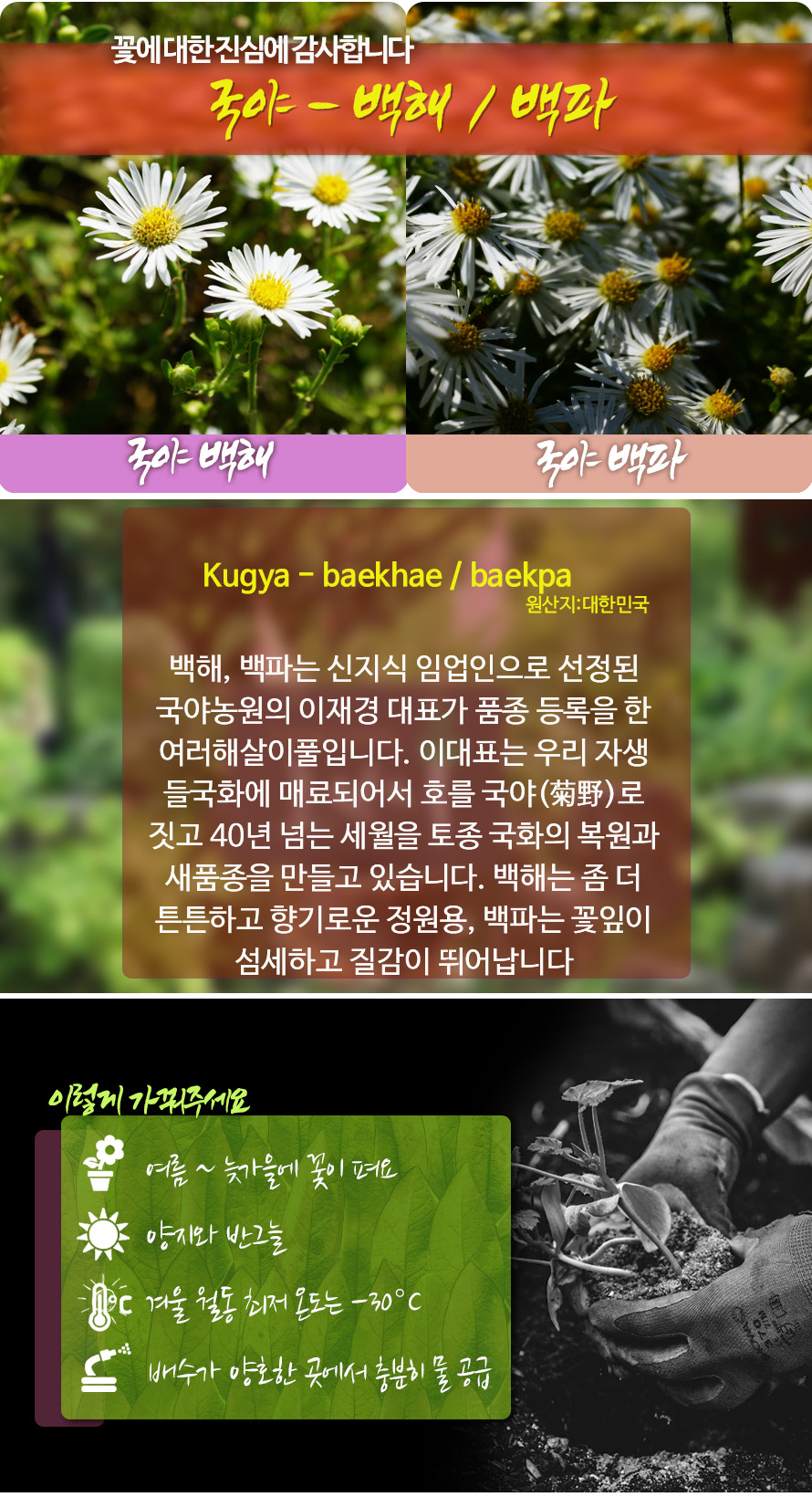 국야모음_45ST_detail.jpg