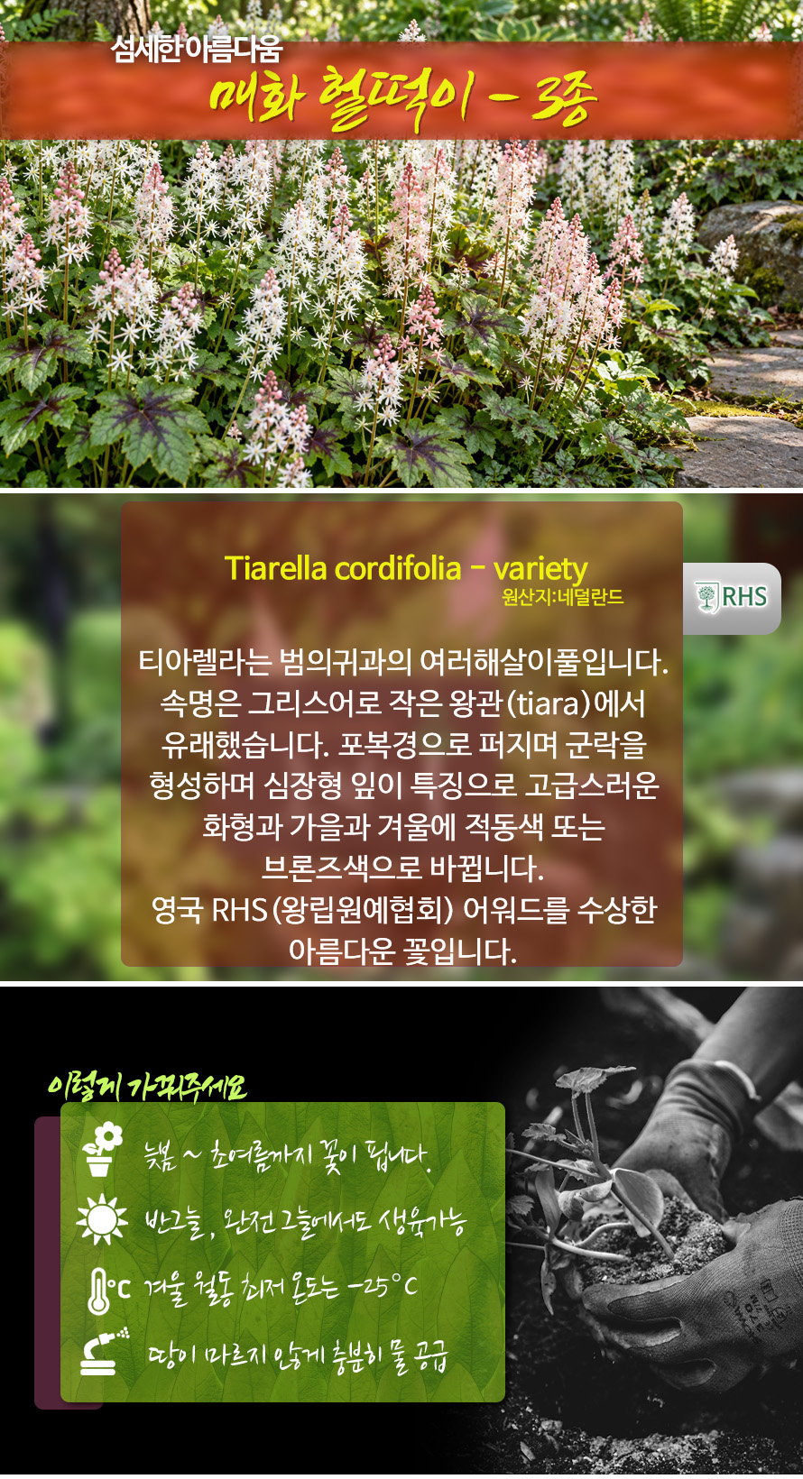 티아렐라_모음_46OCNODC_detail.jpg