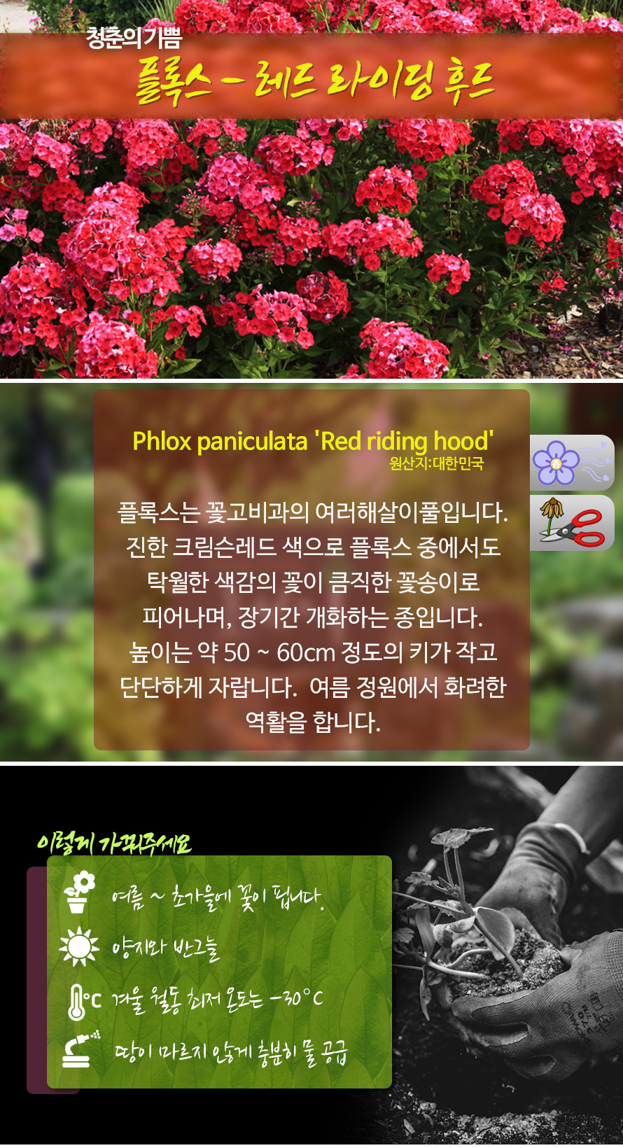 플록스_레드라이딩_46APMYJN_detail.jpg
