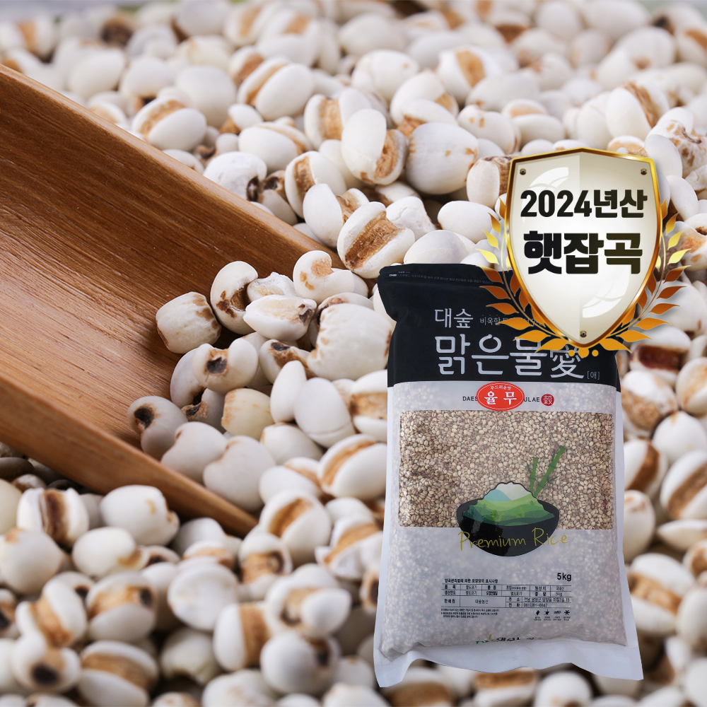 [대숲맑은물애] 24년산 의이인 율무 1kg~5kg