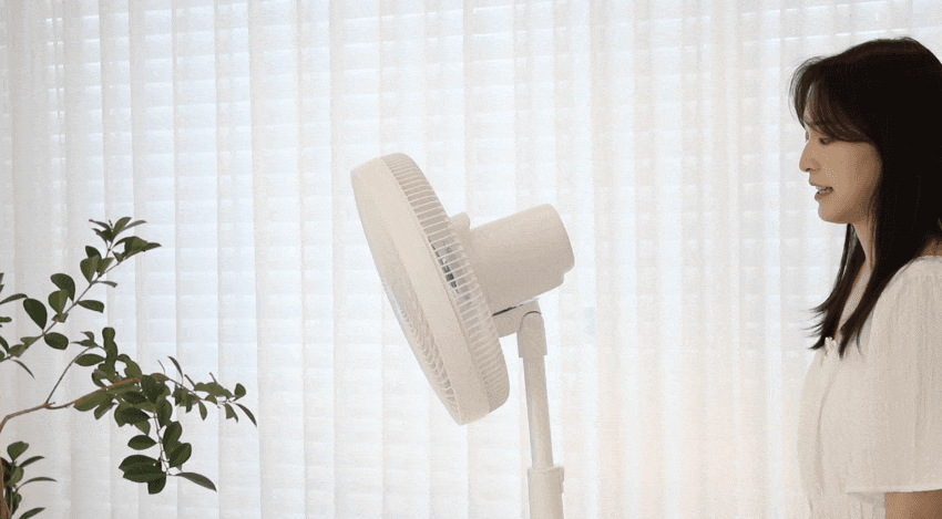 4_860_04.gif
