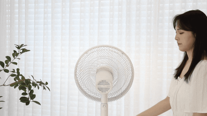 4_860_09.gif
