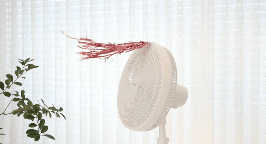 4_860_06.gif