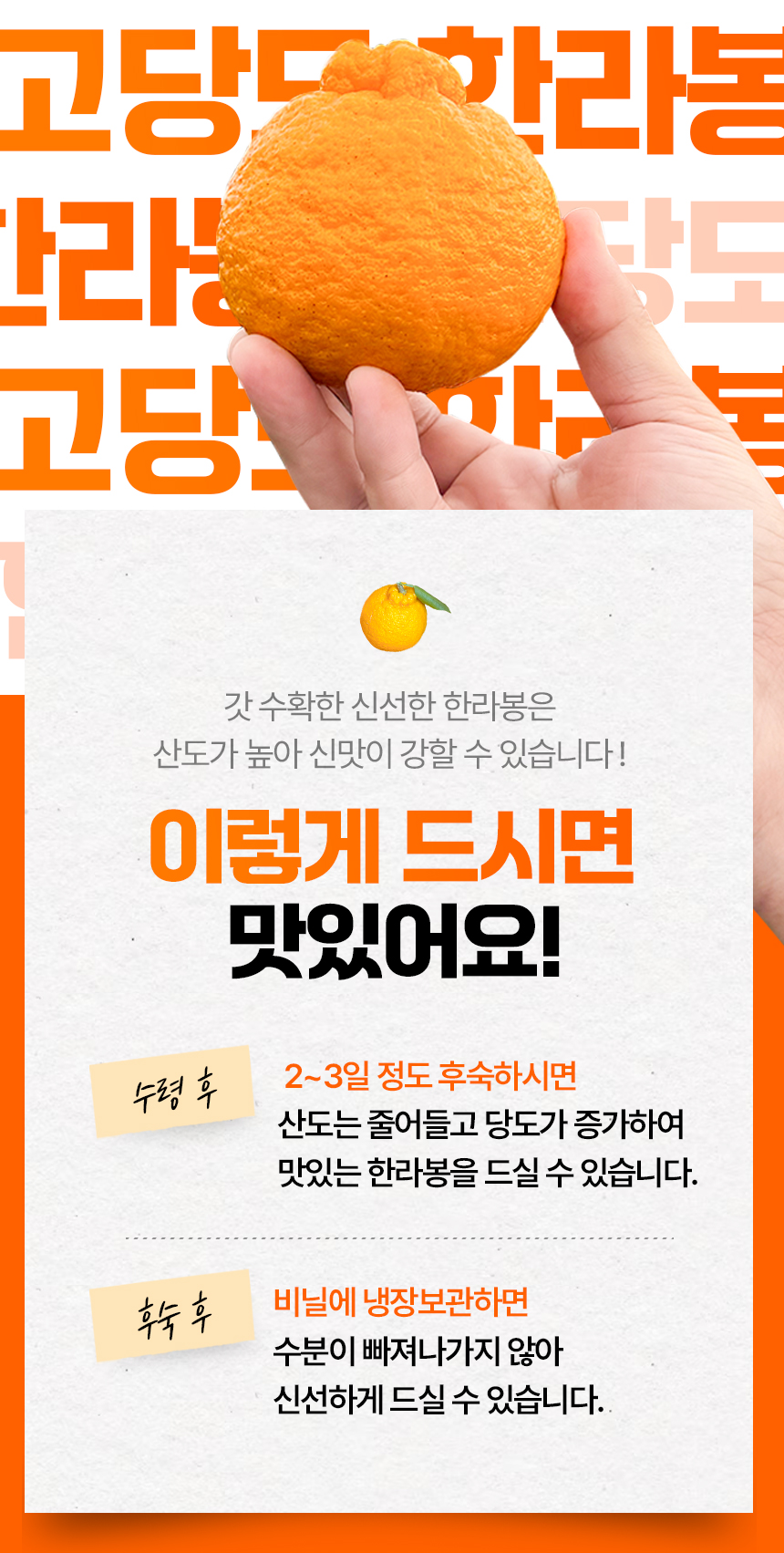 한라봉_상세페이지_08.jpg