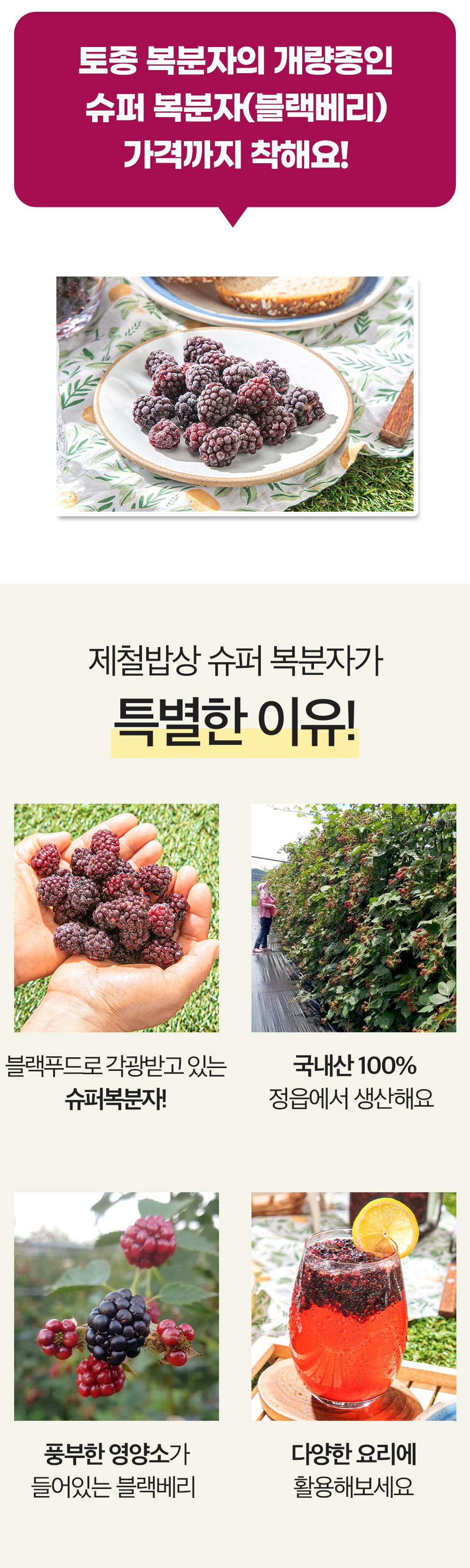 슈퍼복분자 - 01.jpg