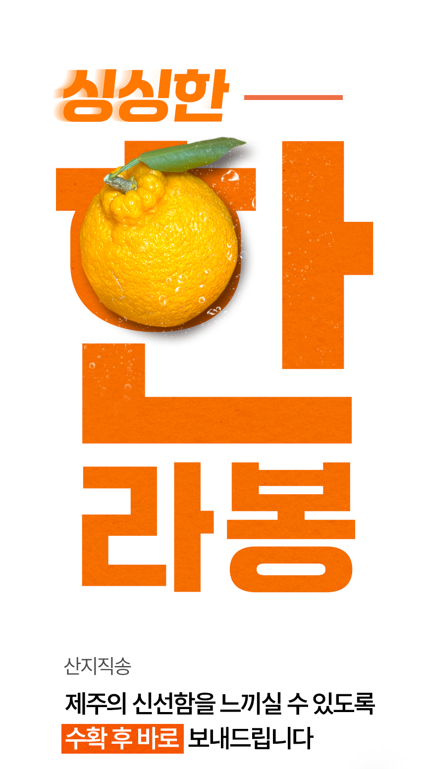한라봉_상세페이지_02.jpg