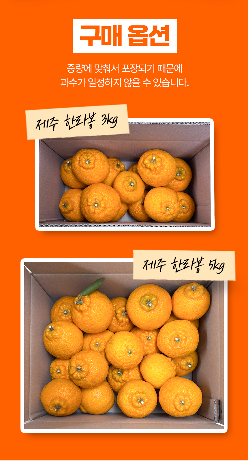 한라봉_상세페이지_09.jpg