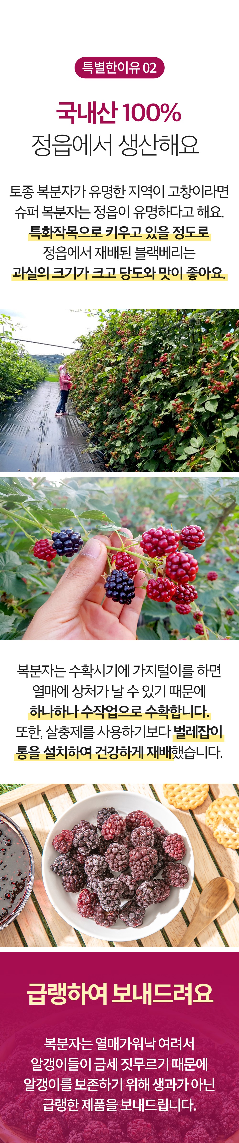 슈퍼복분자 - 02.jpg