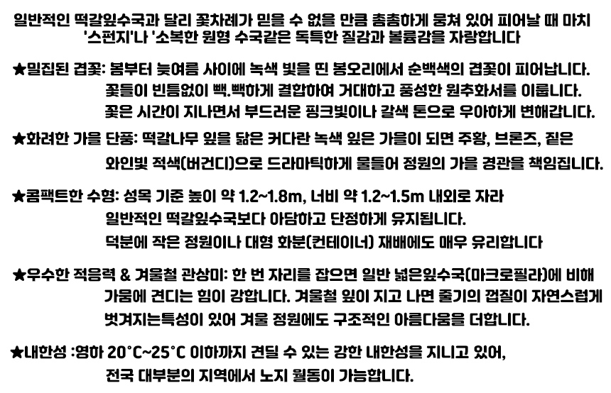 타라상세세부3.jpg