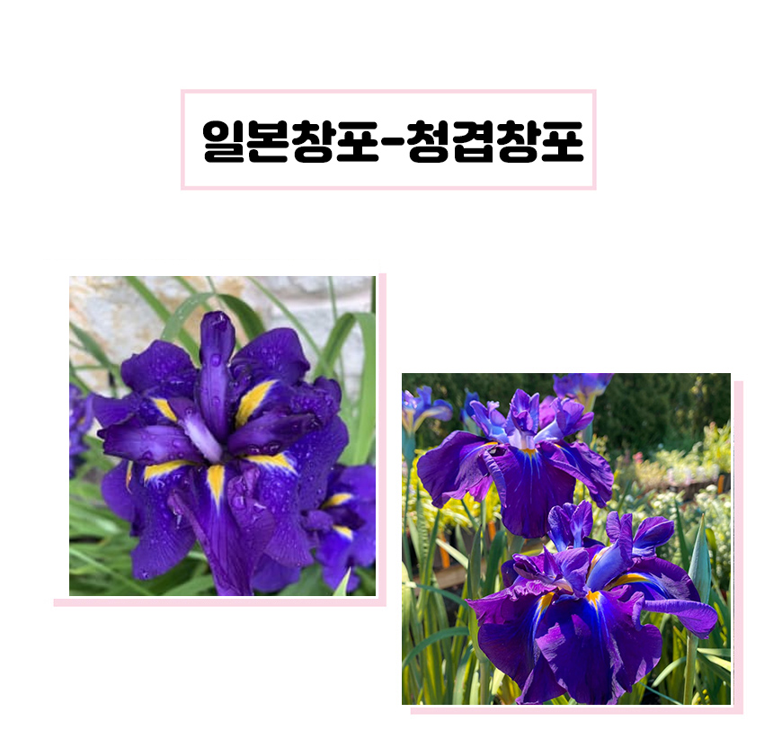 상세1.jpg