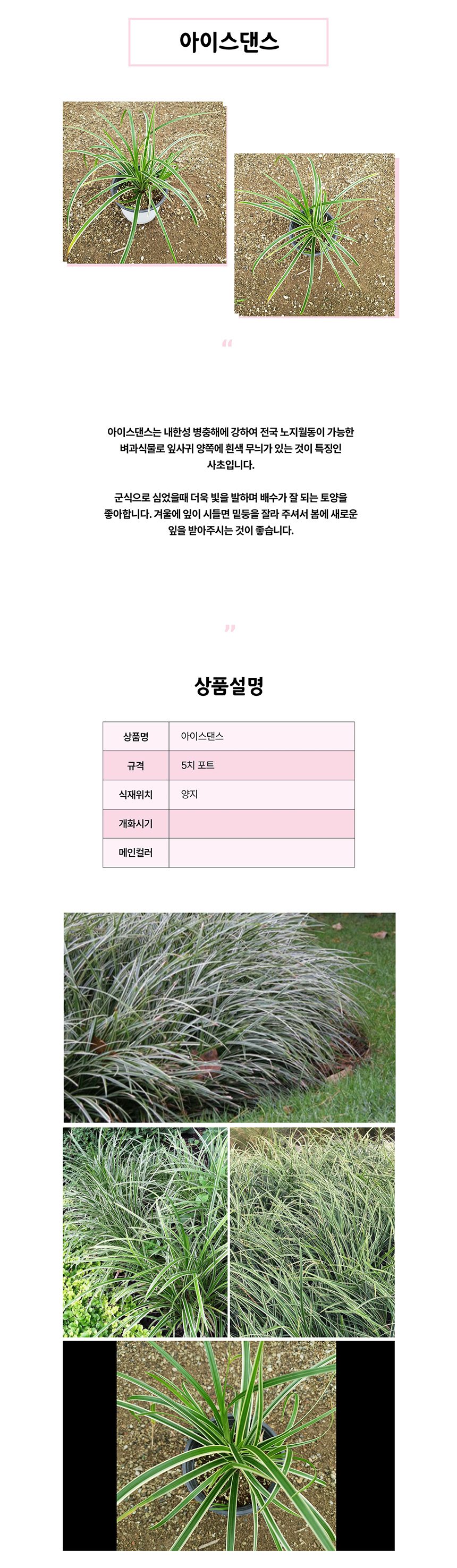 아이스댄스상세1.jpg