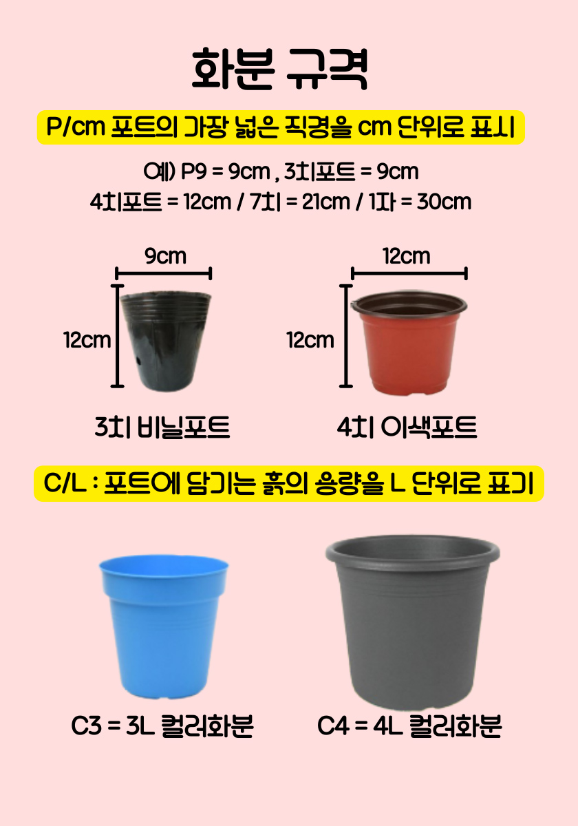 상세설명2.jpg