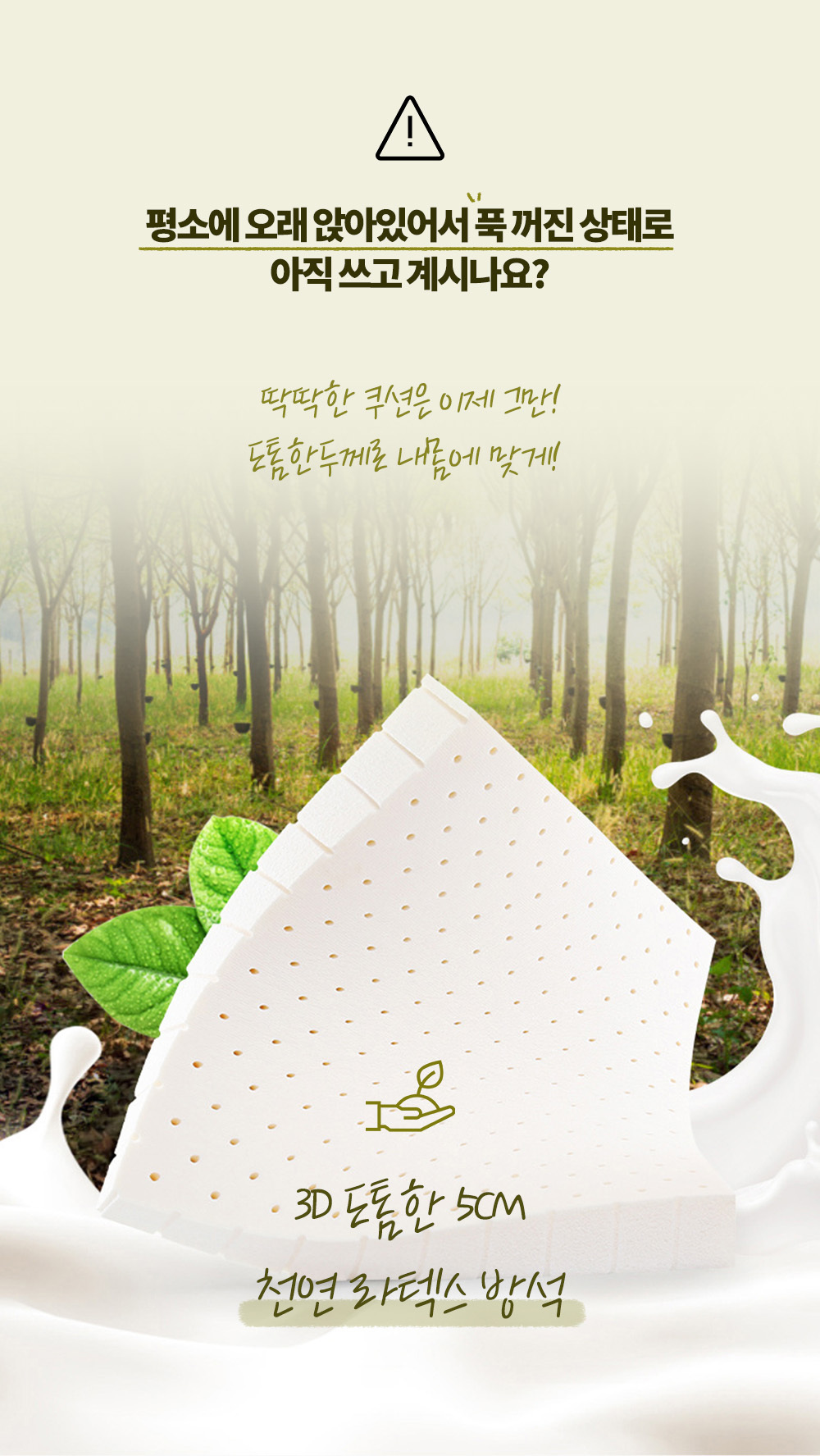 RY_0306_04.jpg