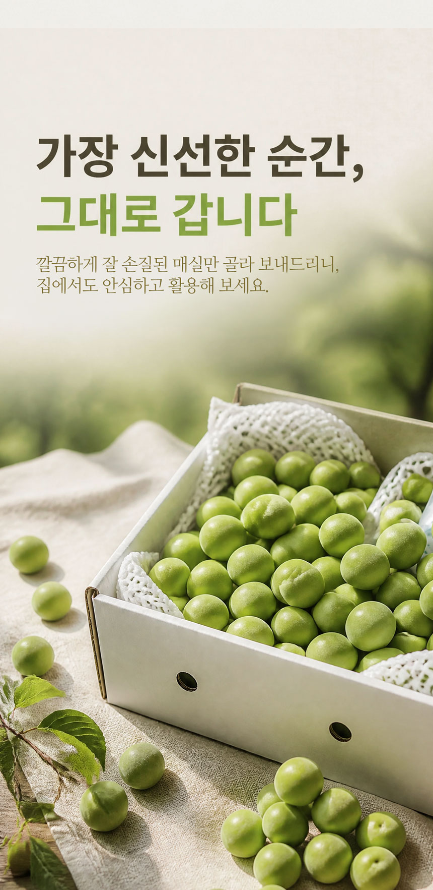 KakaoTalk_20260602_161452041_03.jpg