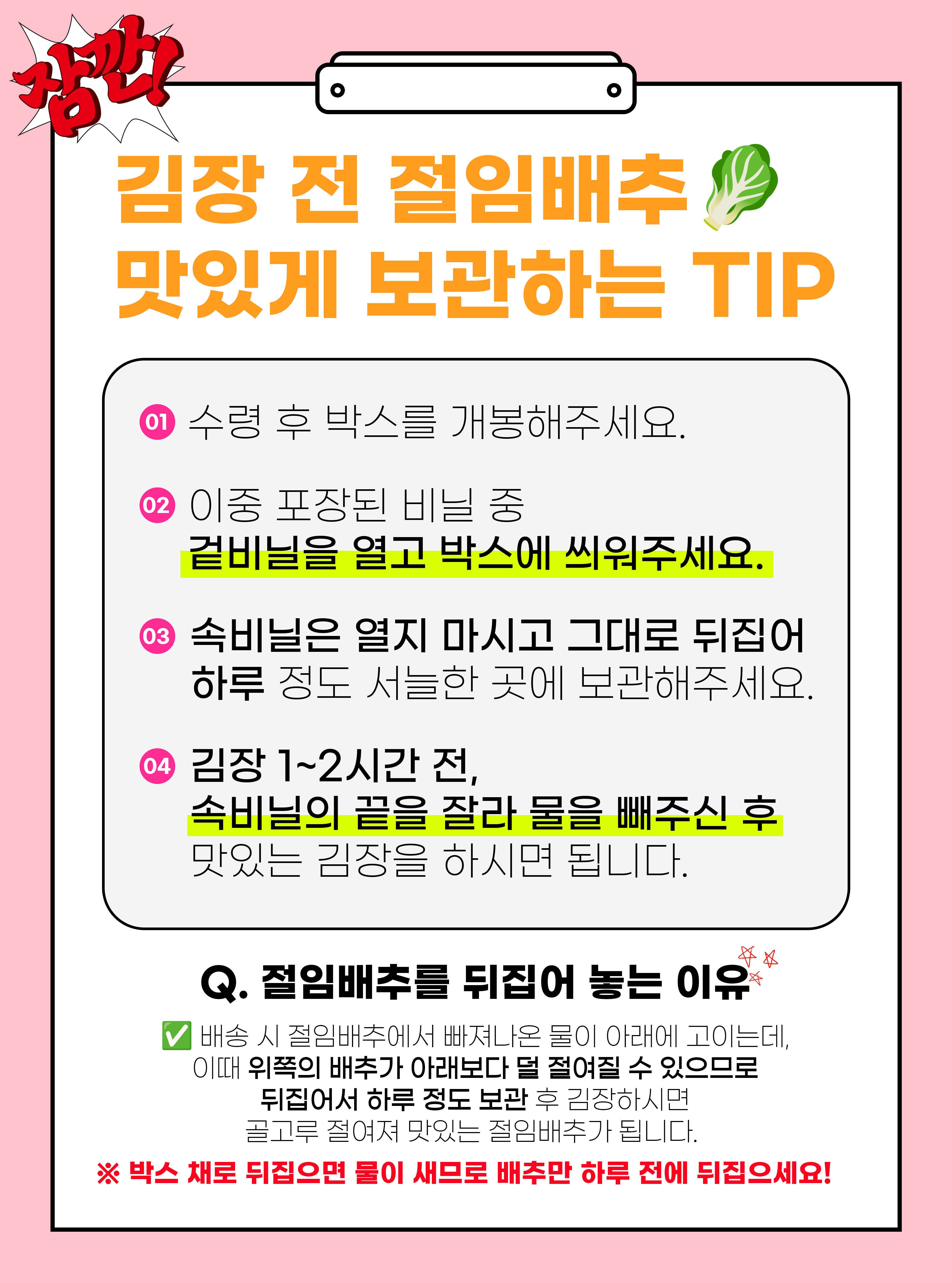 배추 인트로_01.jpg