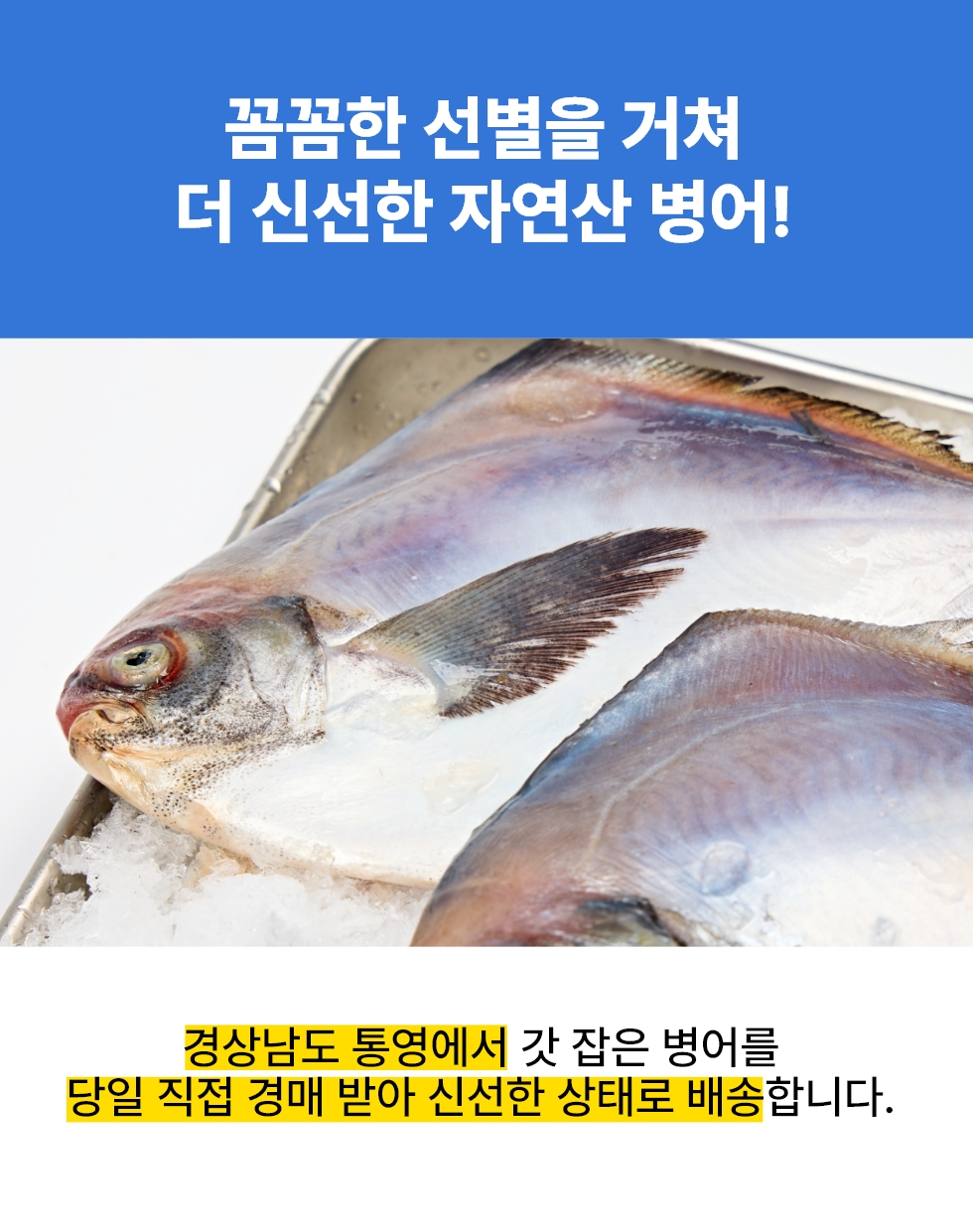 02_pomfret_about.jpg