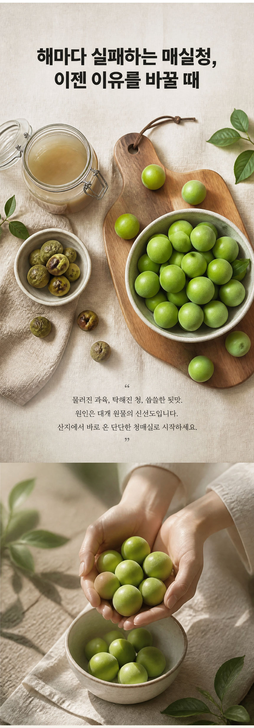 KakaoTalk_20260602_161452041_01.jpg