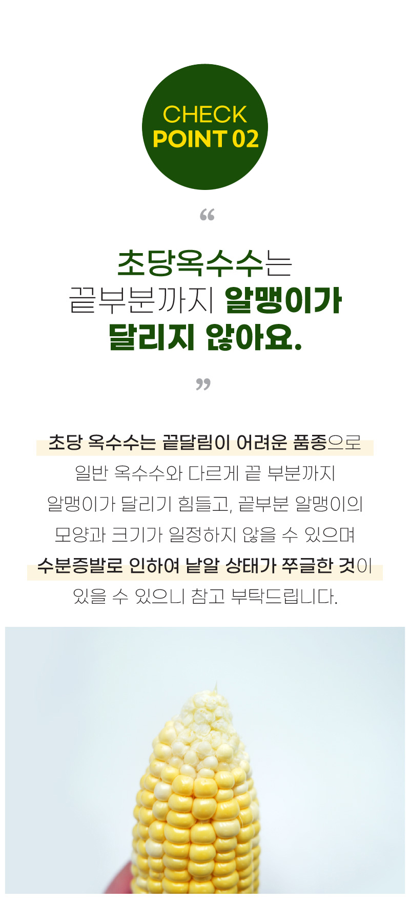 KakaoTalk_20260514_145025415_10.jpg