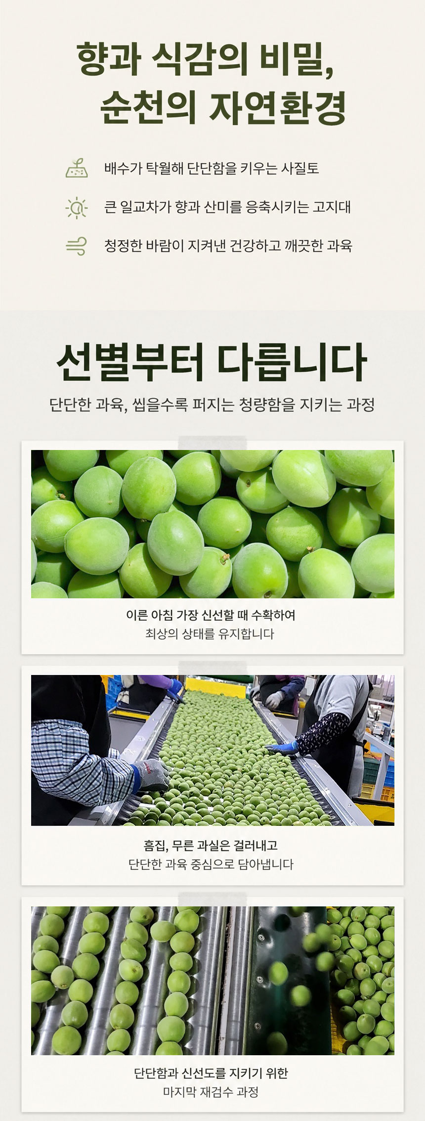 KakaoTalk_20260602_161452041_02.jpg