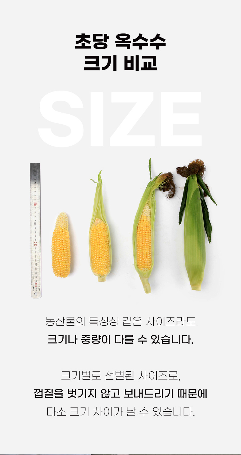 KakaoTalk_20260514_145025415_12.jpg