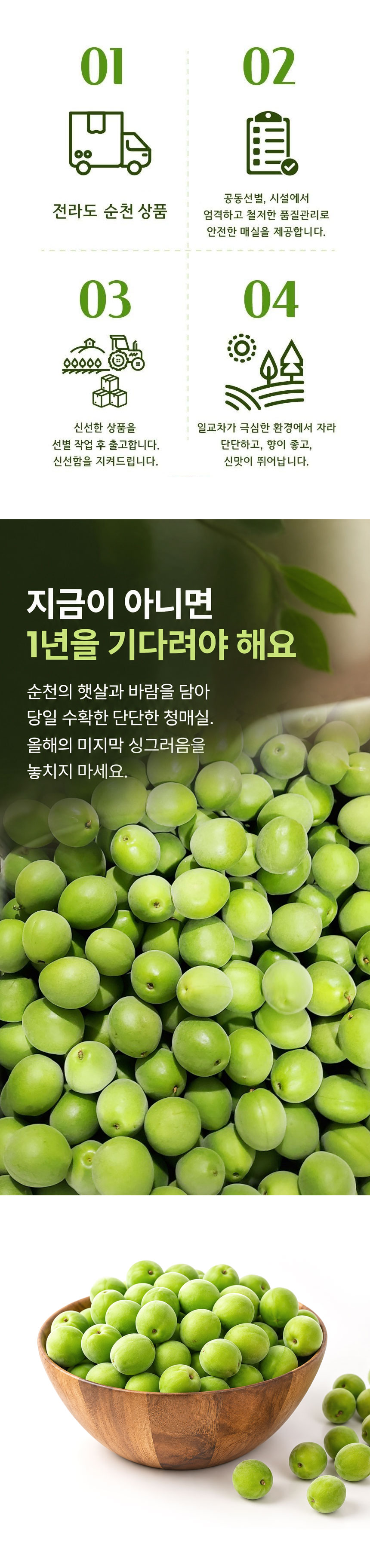 KakaoTalk_20260602_161452041_06.jpg