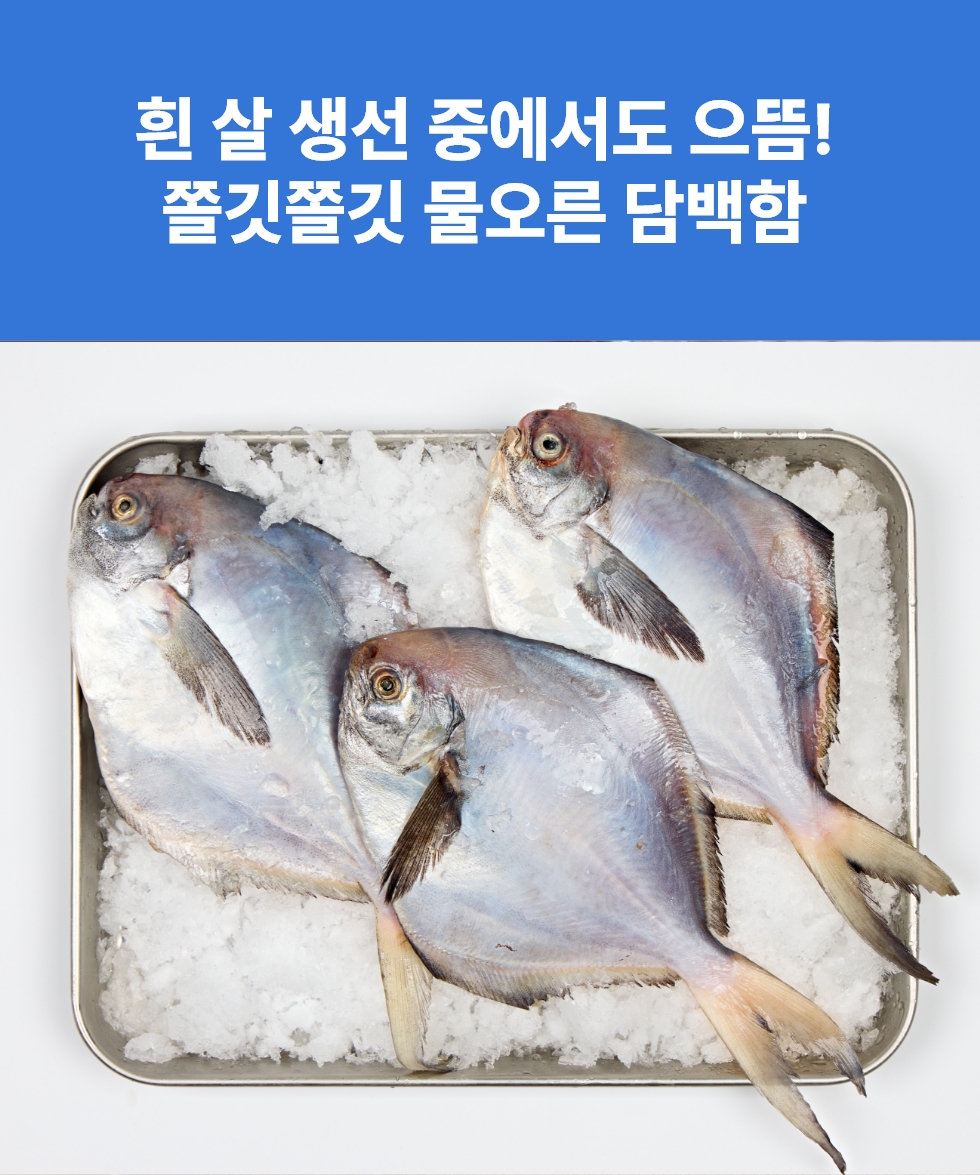 03_pomfret_about.jpg