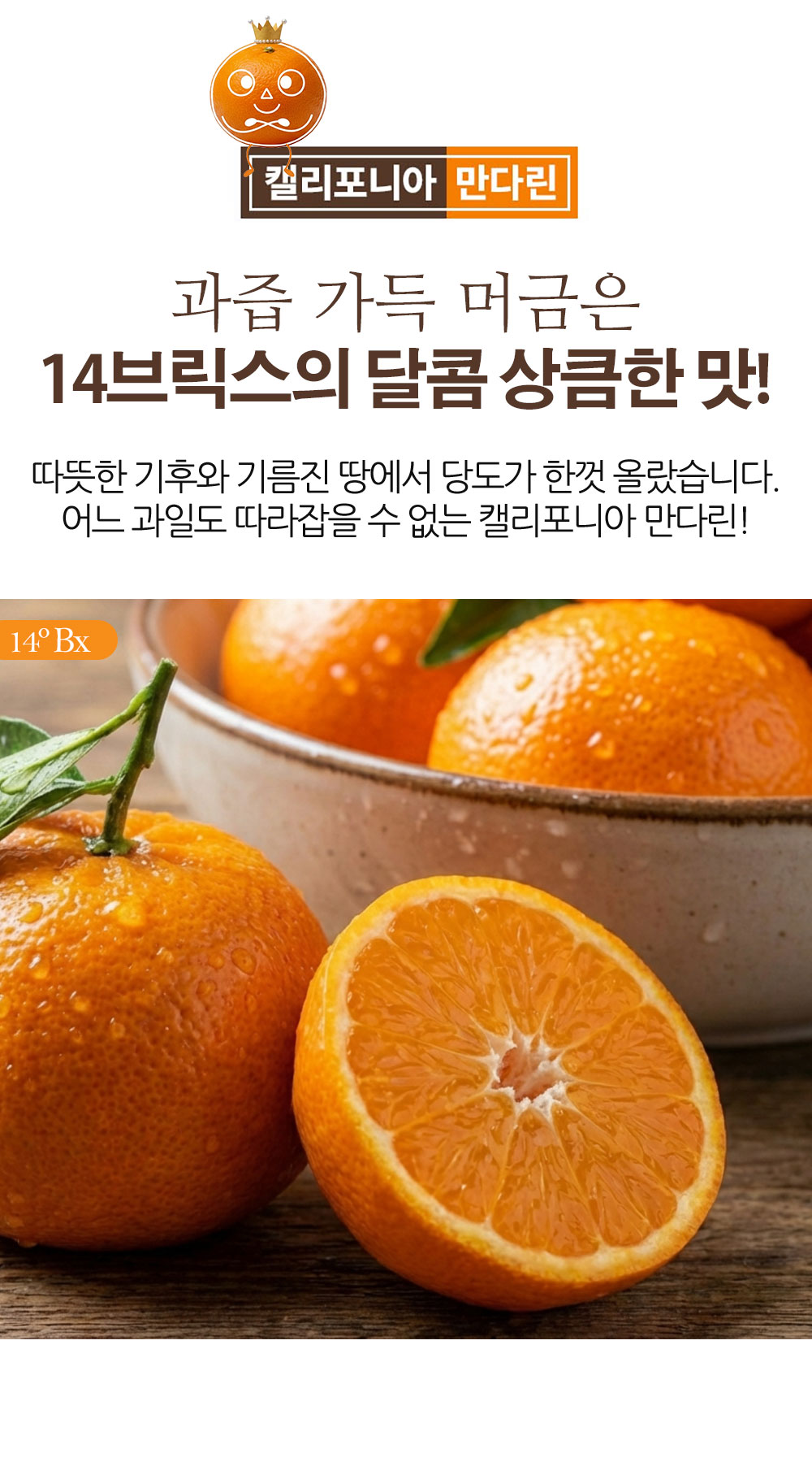 KakaoTalk_20260227_160007518_02.jpg