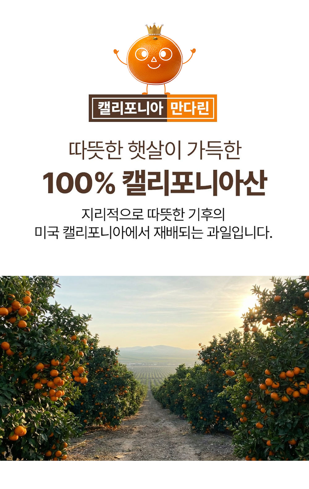 KakaoTalk_20260227_160007518_03.jpg