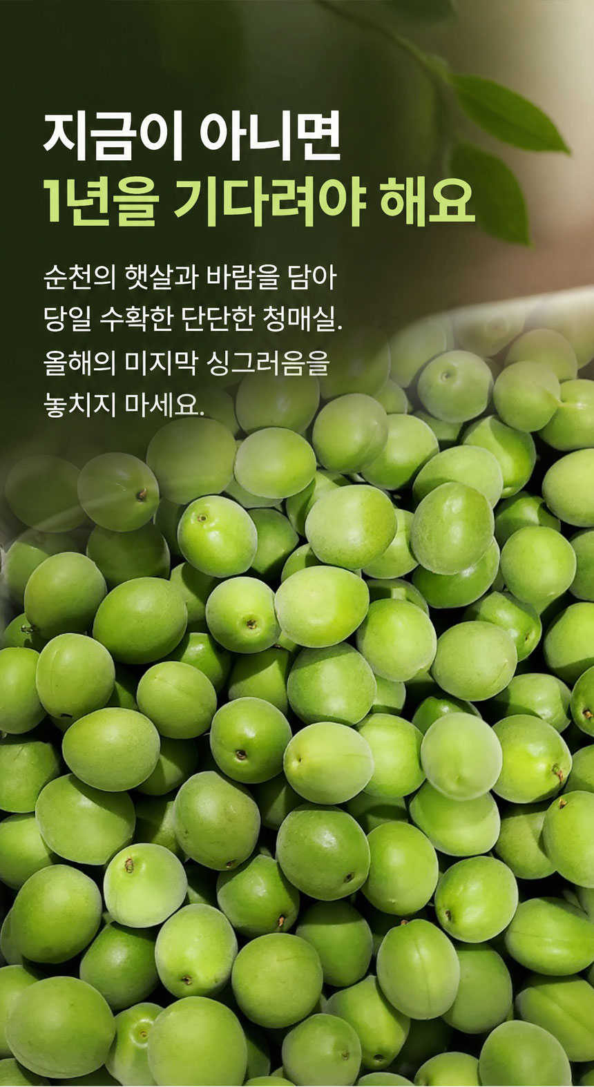 KakaoTalk_20260602_161452041_04.jpg