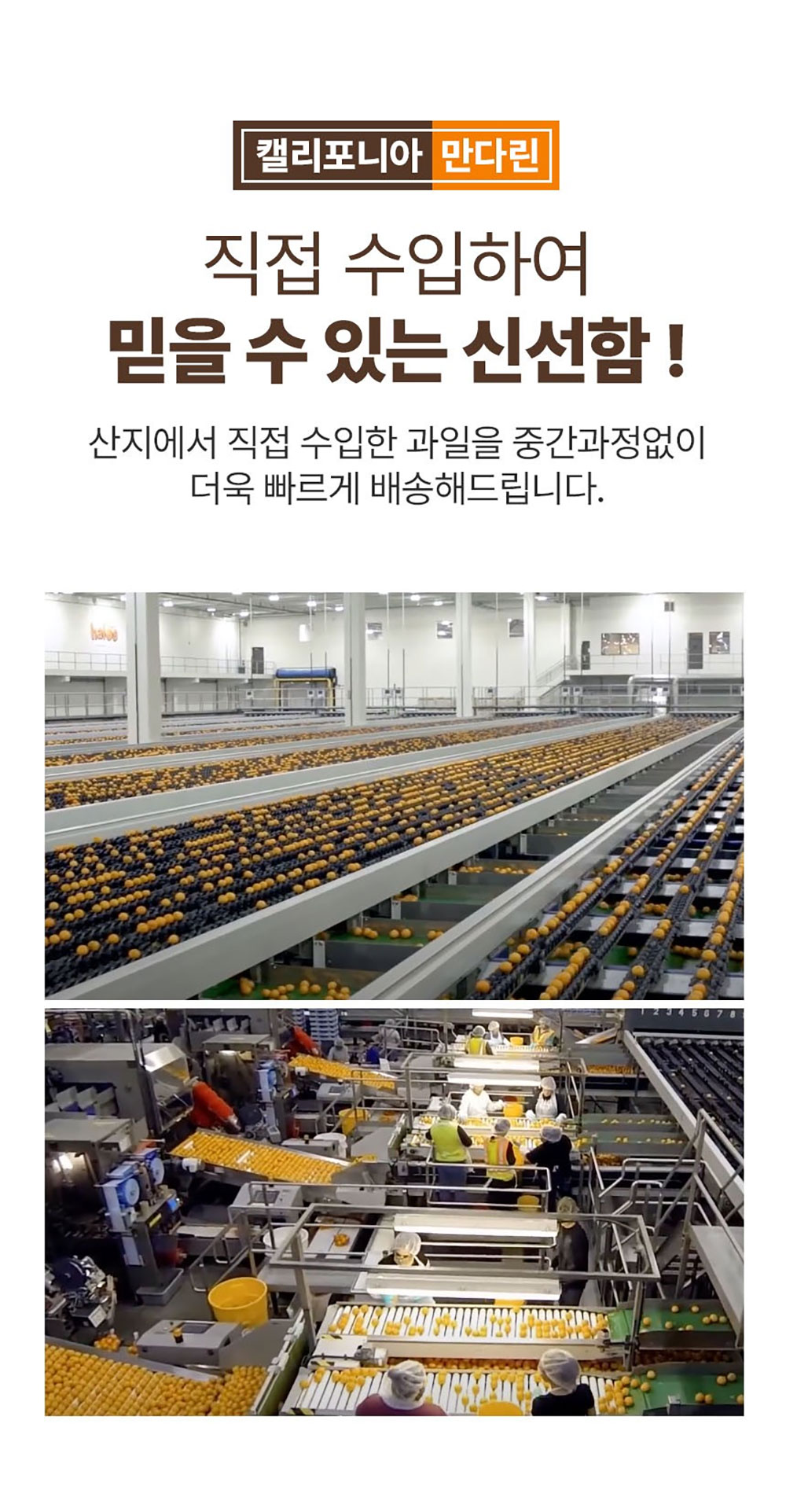 KakaoTalk_20260227_160007518_05.jpg