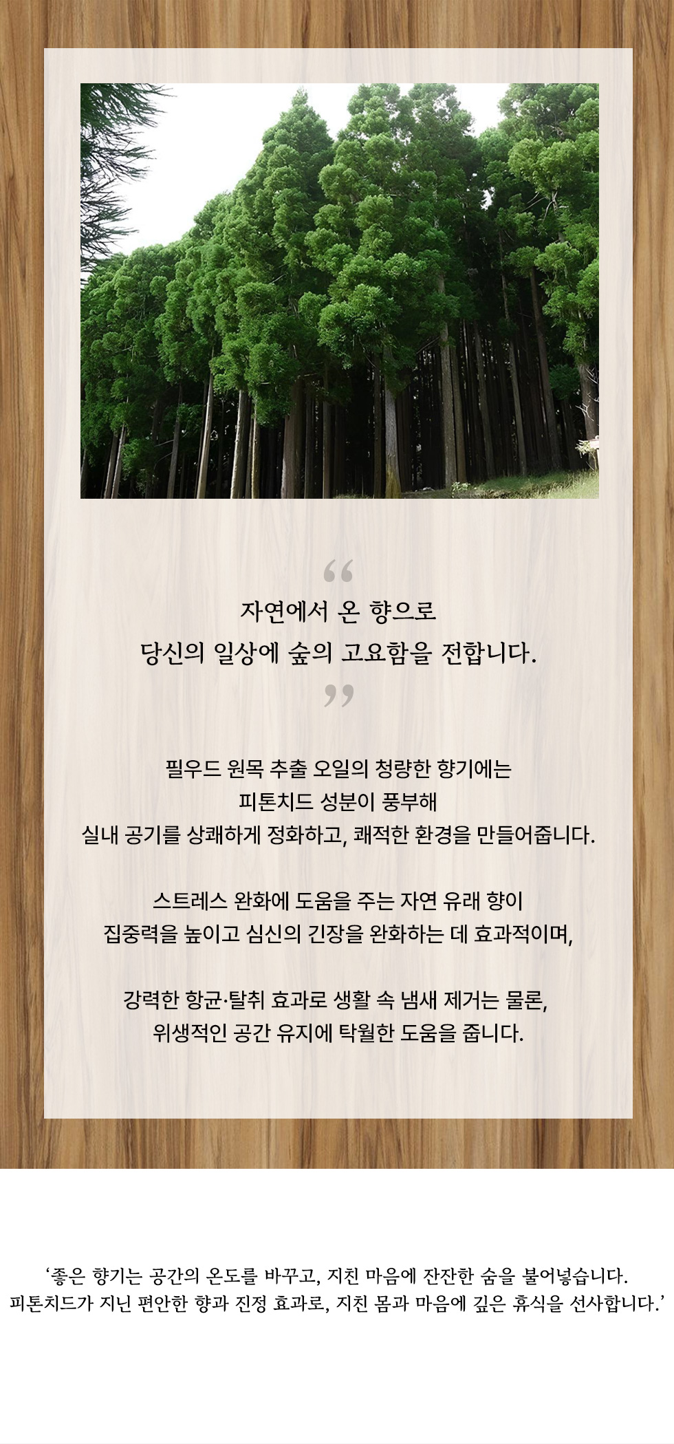04.jpg