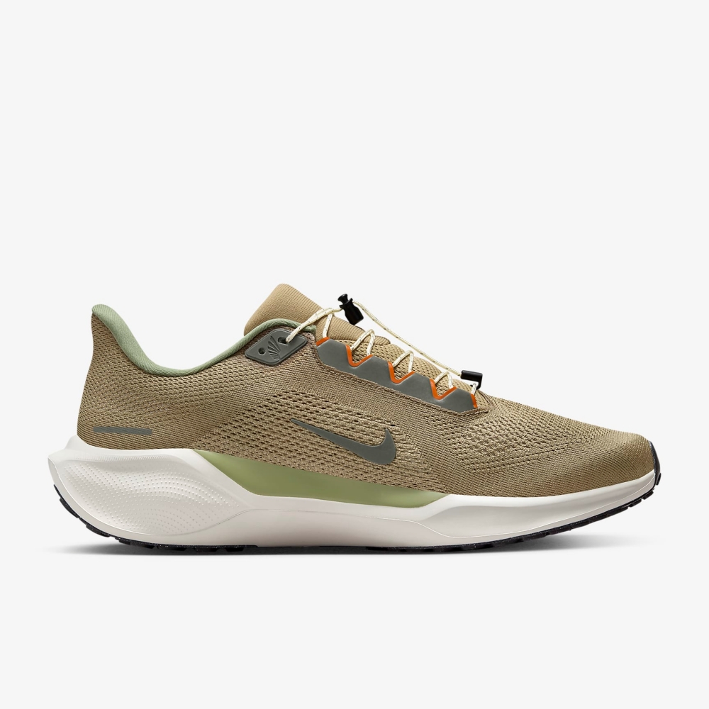 n_AIR+ZOOM+PEGASUS+41+PRM (2).jpg