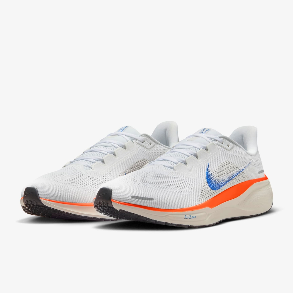 n_AIR+ZOOM+PEGASUS+41+FP (4).jpg