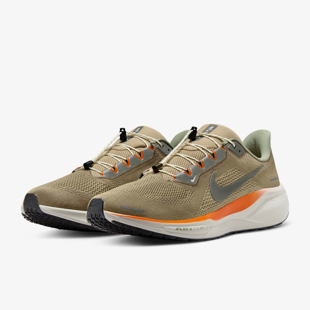 n_AIR+ZOOM+PEGASUS+41+PRM (4).jpg