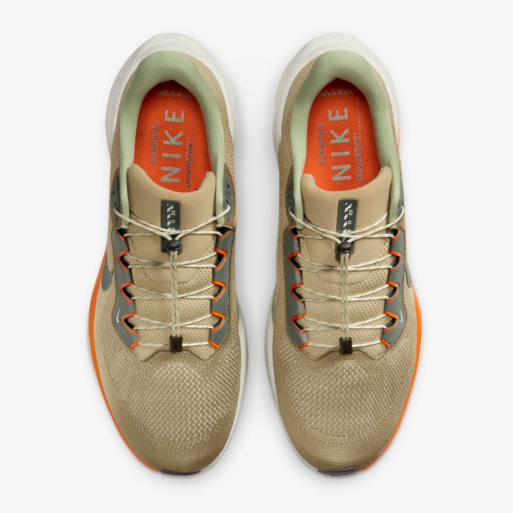 n_AIR+ZOOM+PEGASUS+41+PRM (3).jpg