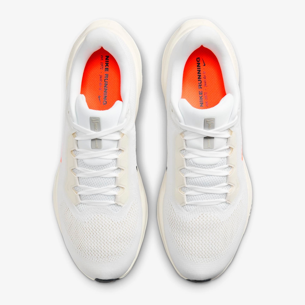 n_AIR+ZOOM+PEGASUS+41+PQ (3).jpg